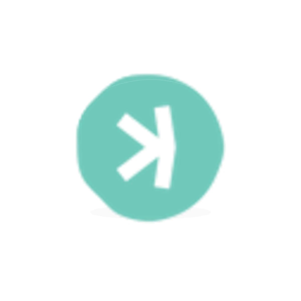 KAS Crypto Logo Sticker product view