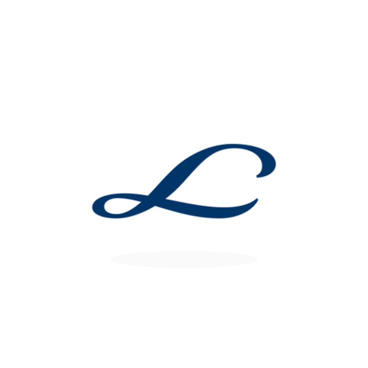 LIN Logo Sticker product view