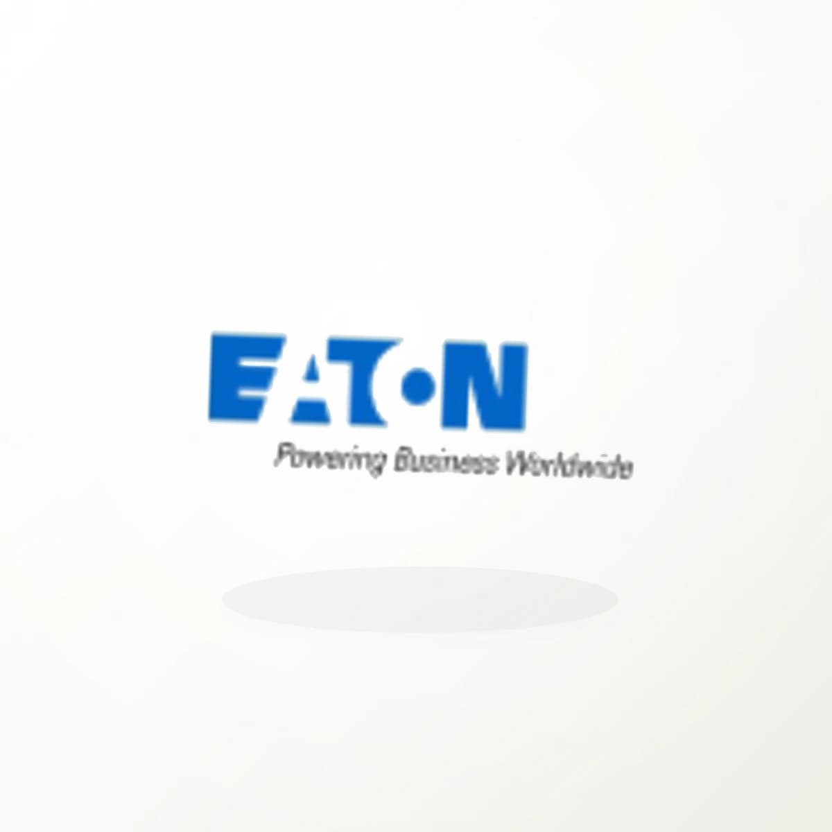 ETN Logo Sticker in an original company-logo die-cut vinyl design