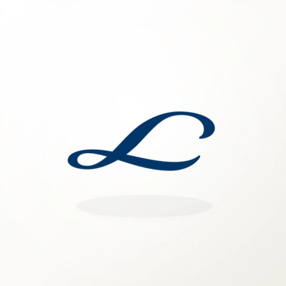 LIN Logo Sticker in an original company-logo die-cut vinyl design