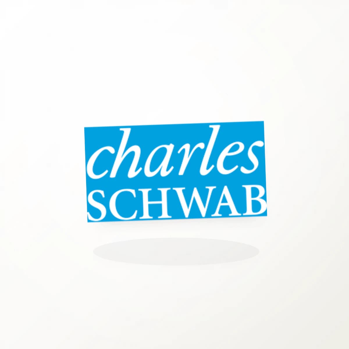 SCHW Logo Sticker in an original company-logo die-cut vinyl design